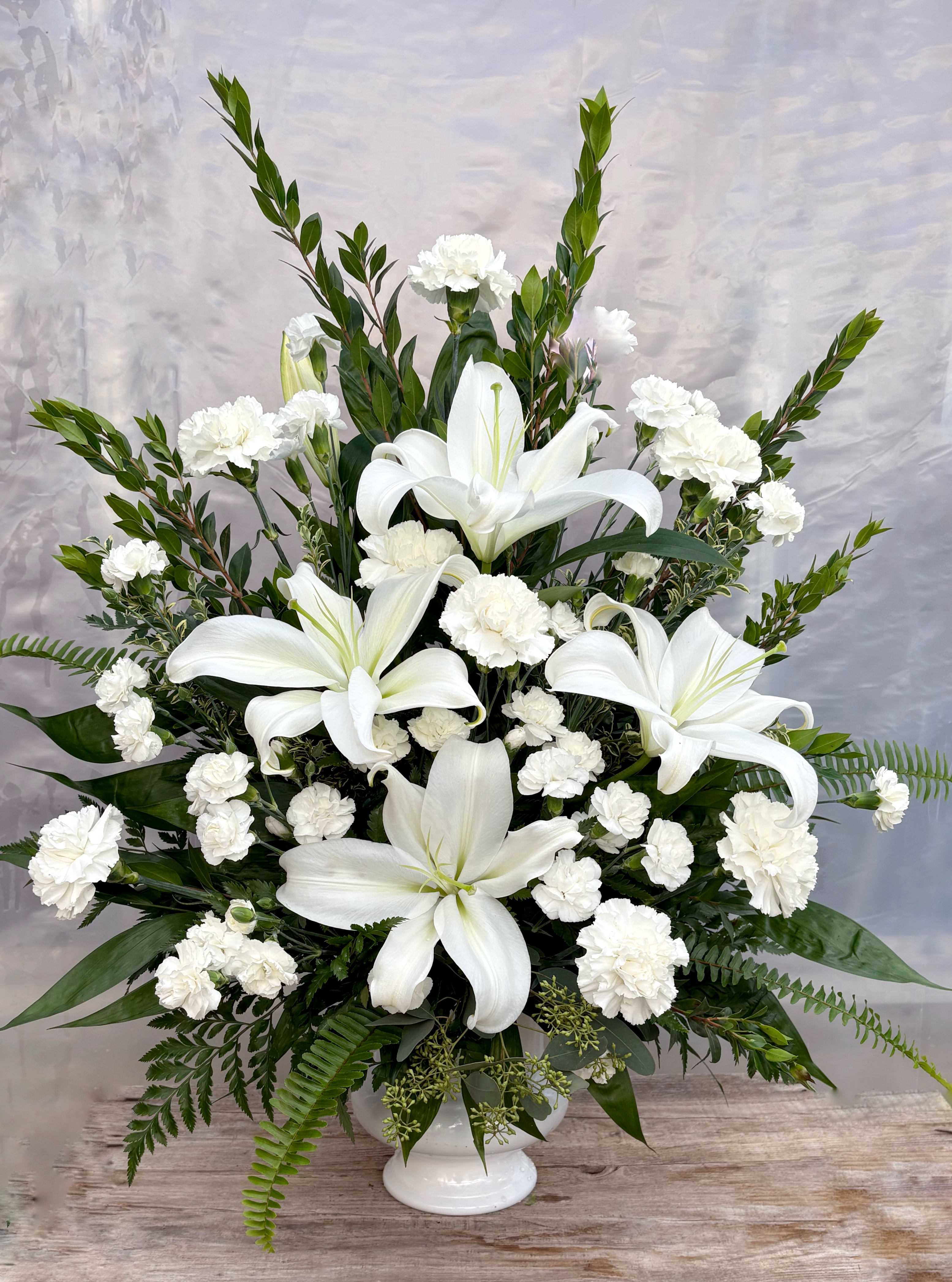 philodendron mayoi Philodendron Mayoi — house-plant-west main image 0