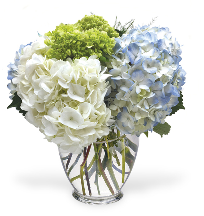 Hospital Flower Delivery, Get Well Flower Delivery