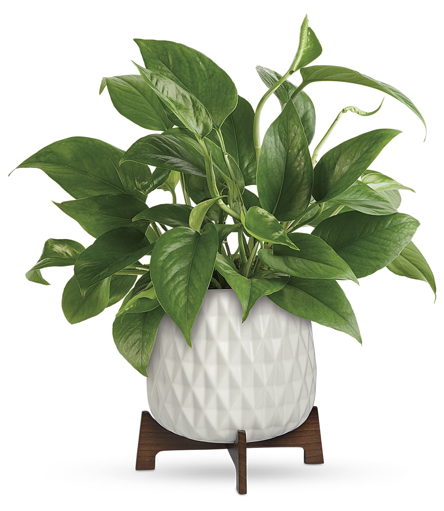 hanging ivy plant Hanging Green Ivy Leaf Foliage All Seasons Greenery Bush Spray - 31